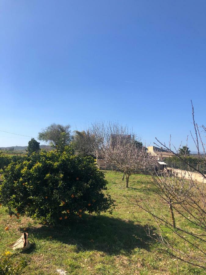 Son Roig ,Beautiful Place In The Heart Of Mallorca -Etv 9979 Марія-де-ла-Салуд Екстер'єр фото